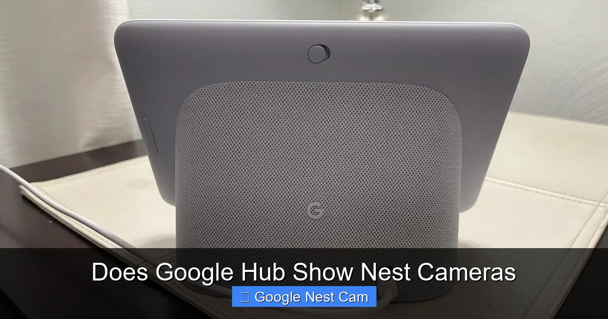 Does Google Hub Show Nest Cameras