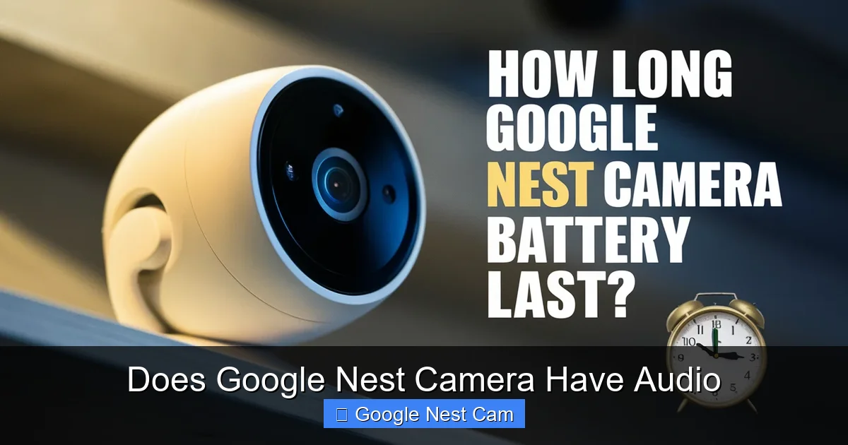 Does Google Nest Camera Have Audio