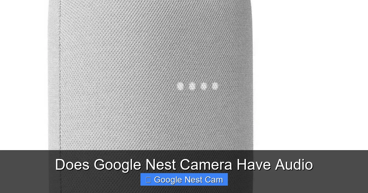Does Google Nest Camera Have Audio
