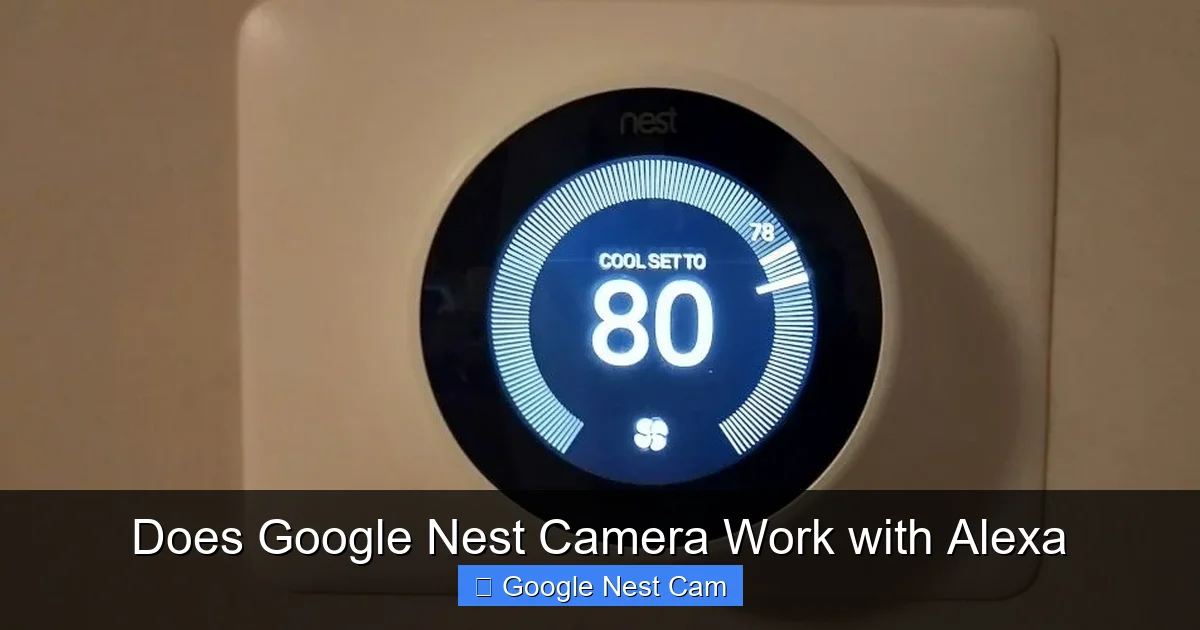 Does Google Nest Camera Work with Alexa