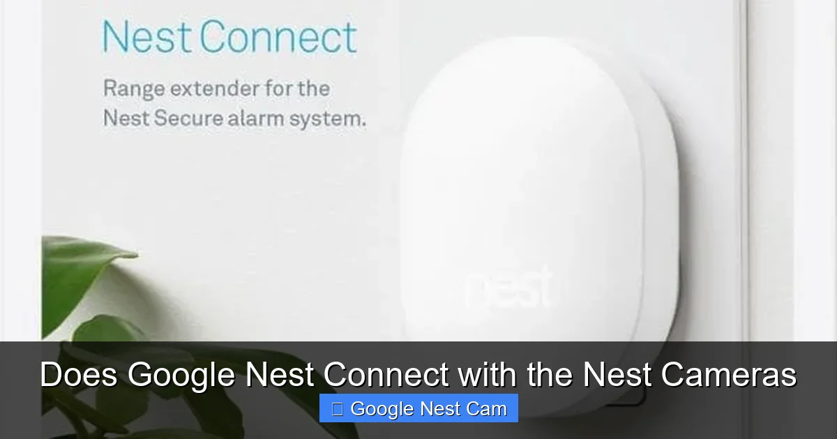 Does Google Nest Connect with the Nest Cameras