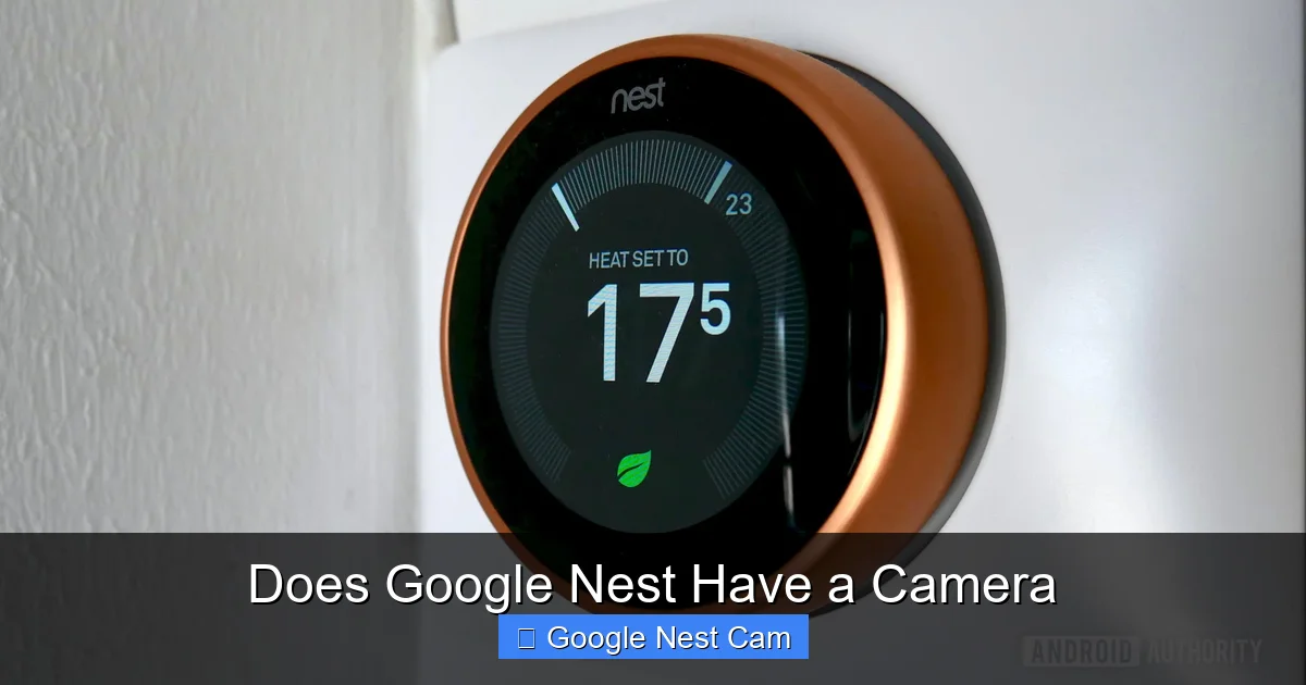Does Google Nest Have a Camera