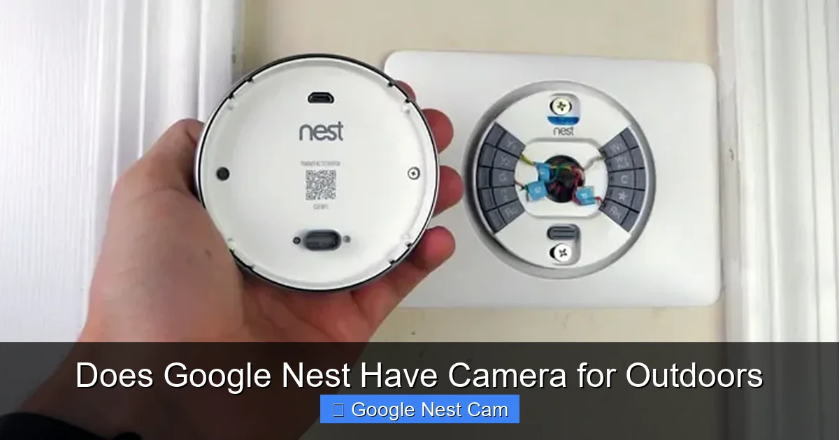 Does Google Nest Have Camera for Outdoors