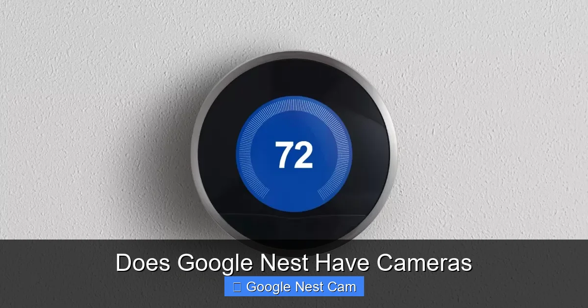Does Google Nest Have Cameras