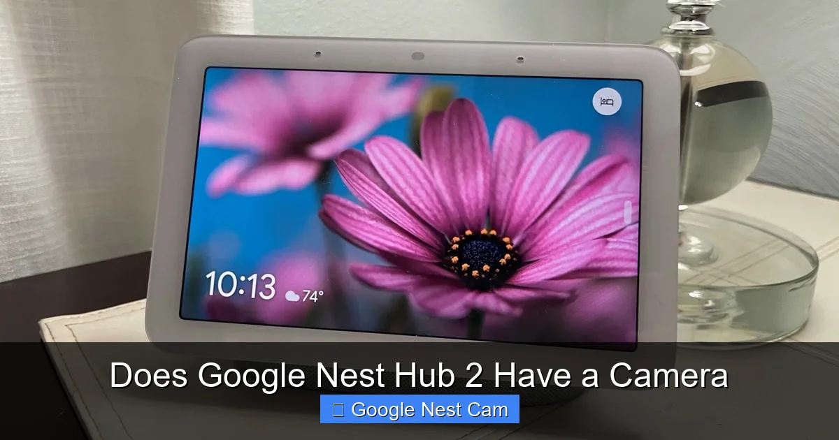 Does Google Nest Hub 2 Have a Camera
