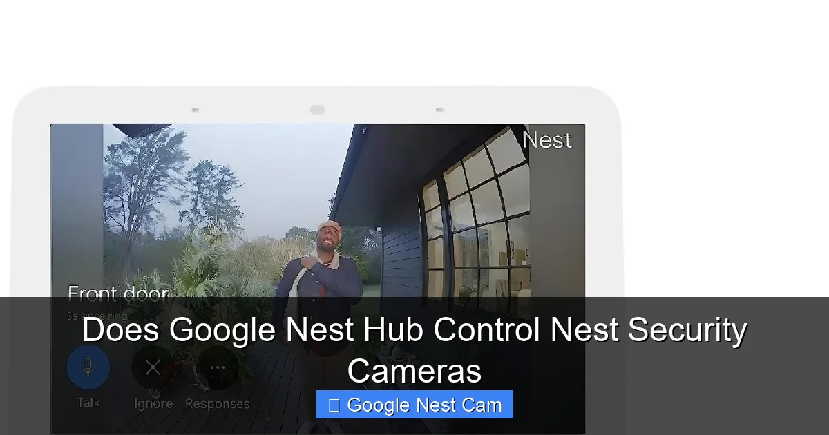 Does Google Nest Hub Control Nest Security Cameras