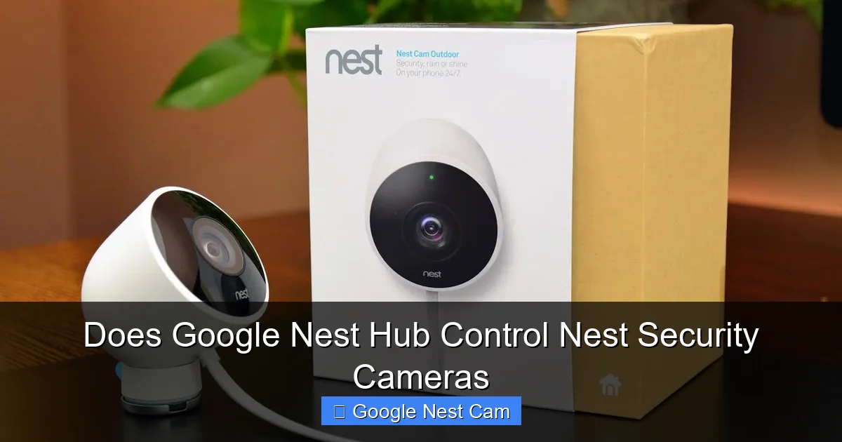 Does Google Nest Hub Control Nest Security Cameras
