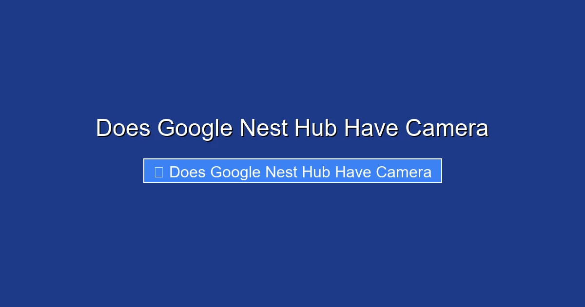 Does Google Nest Hub Have Camera