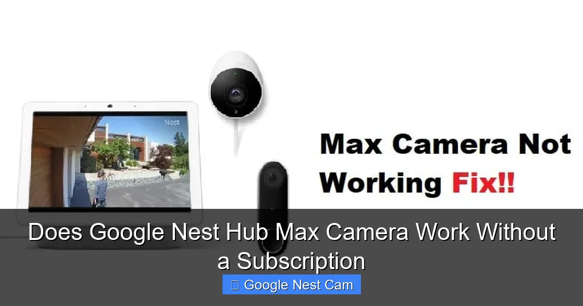 Does Google Nest Hub Max Camera Work Without a Subscription