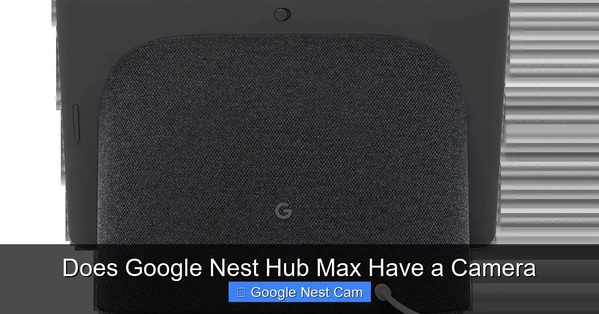 Does Google Nest Hub Max Have a Camera