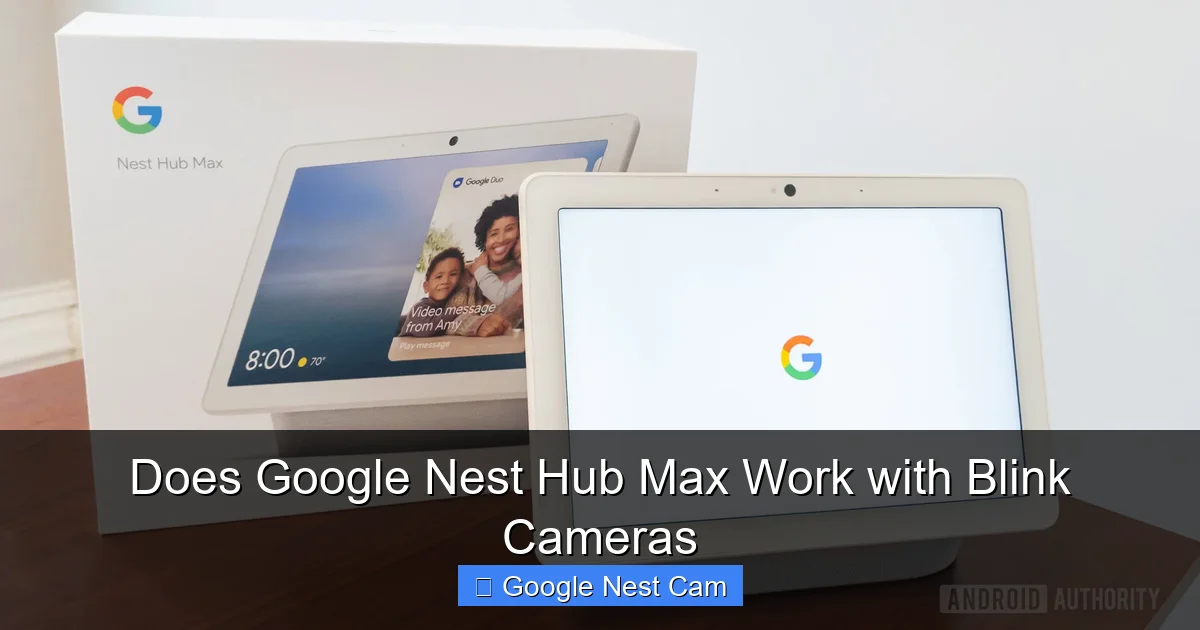 Does Google Nest Hub Max Work with Blink Cameras