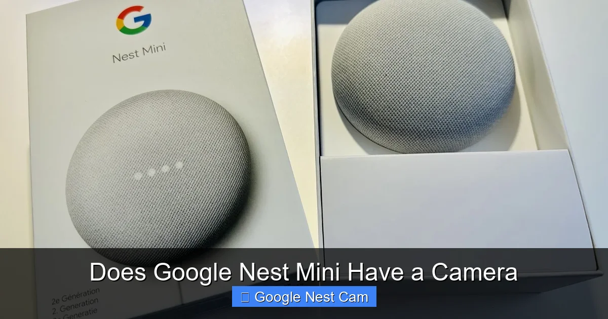 Does Google Nest Mini Have a Camera