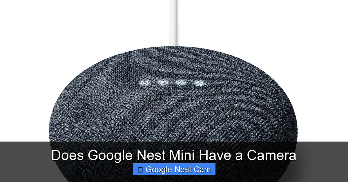 Does Google Nest Mini Have a Camera