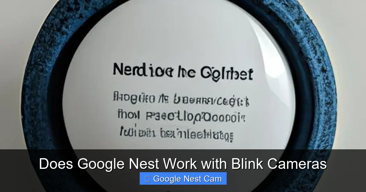 Does Google Nest Work with Blink Cameras
