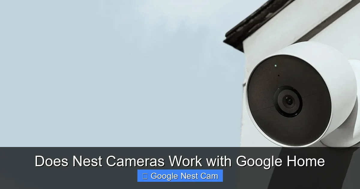 Does Nest Cameras Work with Google Home