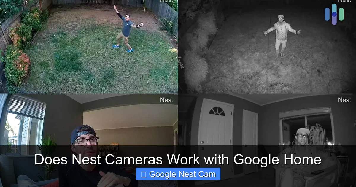Does Nest Cameras Work with Google Home