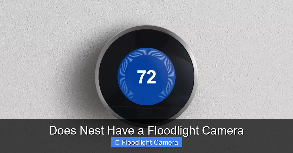 Does Nest Have a Floodlight Camera