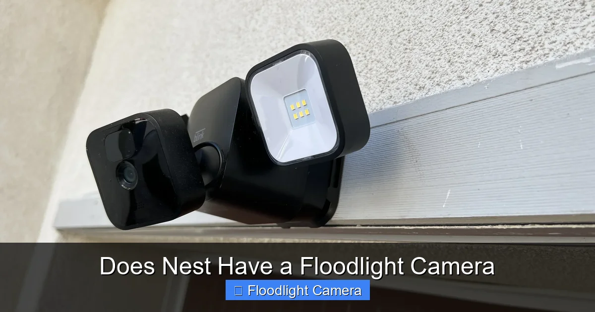 Does Nest Have a Floodlight Camera