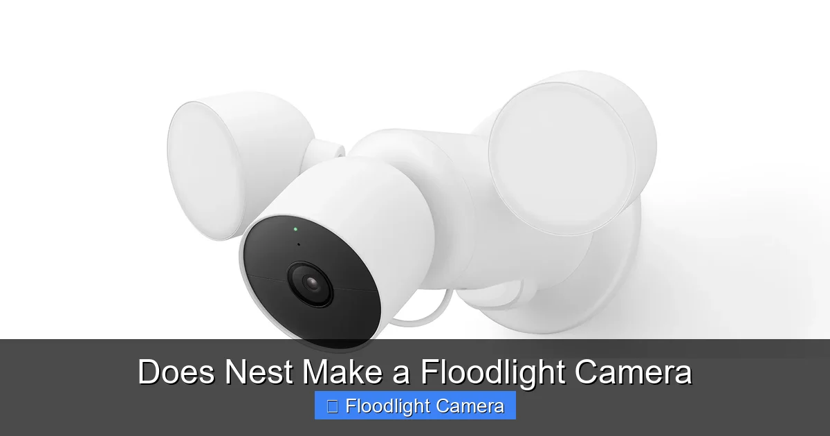Does Nest Make a Floodlight Camera