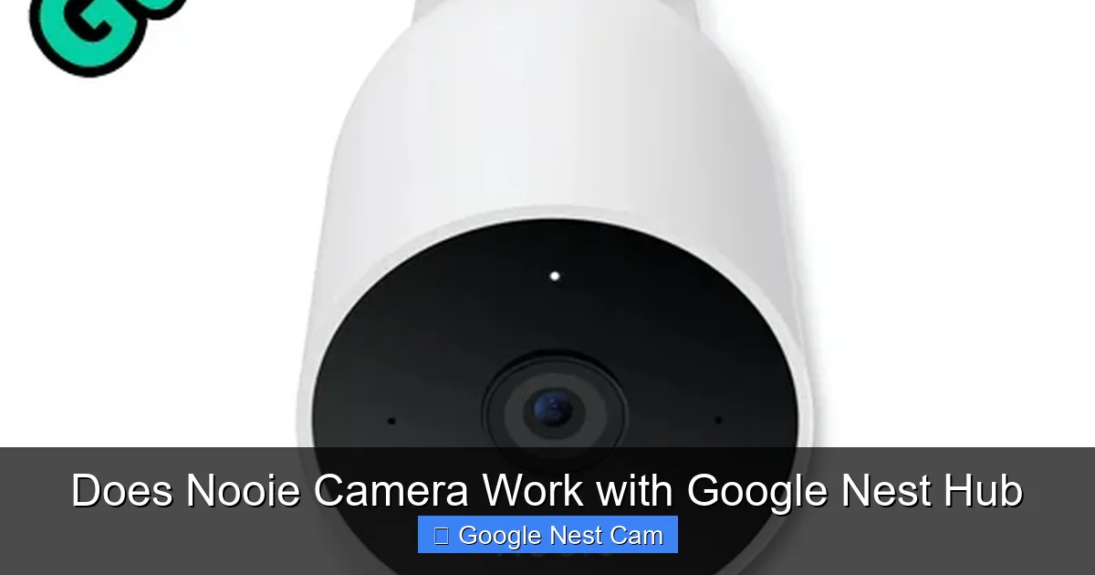 Does Nooie Camera Work with Google Nest Hub