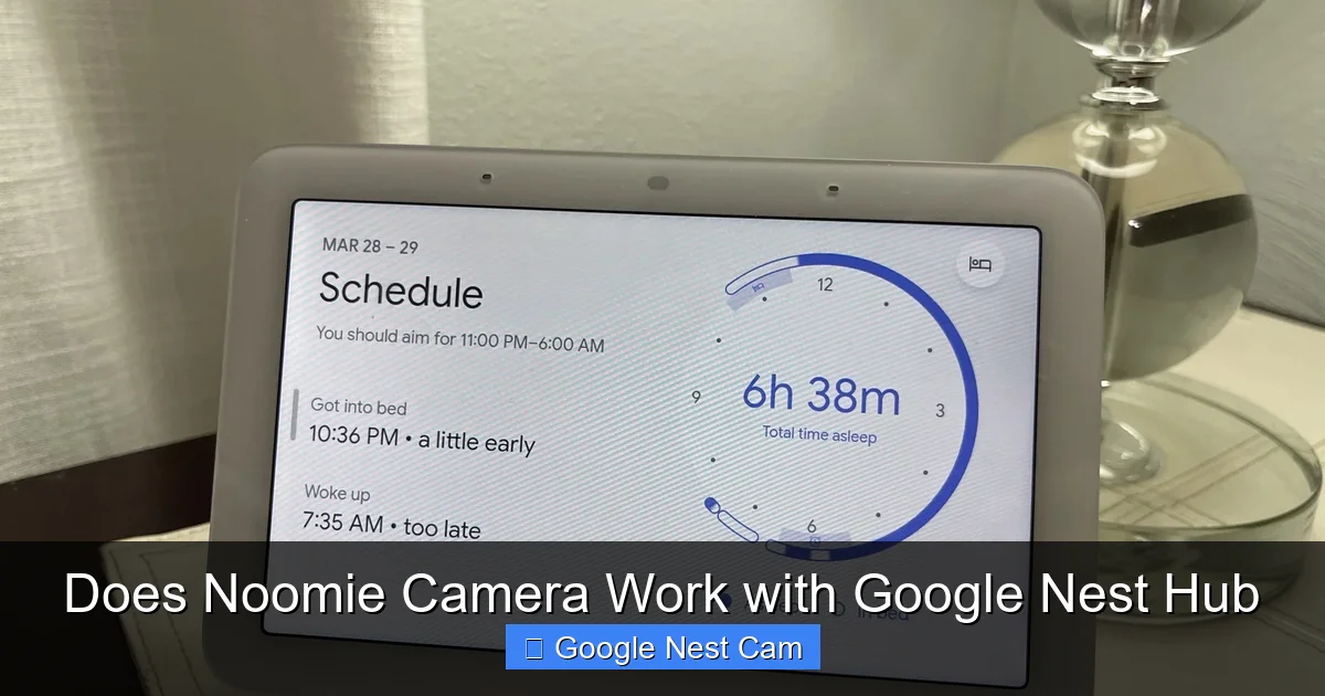 Does Noomie Camera Work with Google Nest Hub