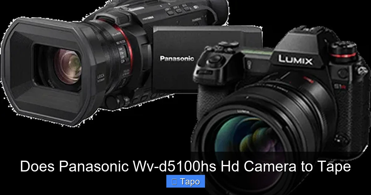 Does Panasonic Wv-d5100hs Hd Camera to Tape