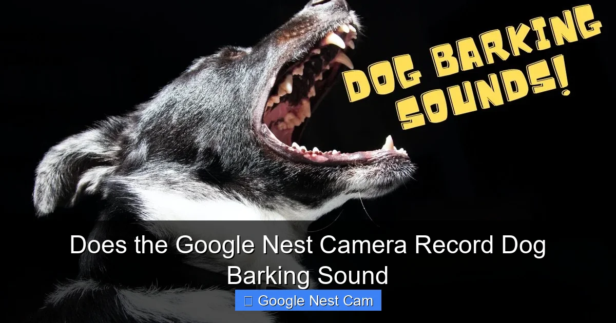 Does the Google Nest Camera Record Dog Barking Sound