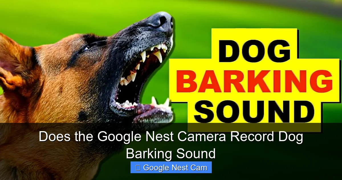 Does the Google Nest Camera Record Dog Barking Sound