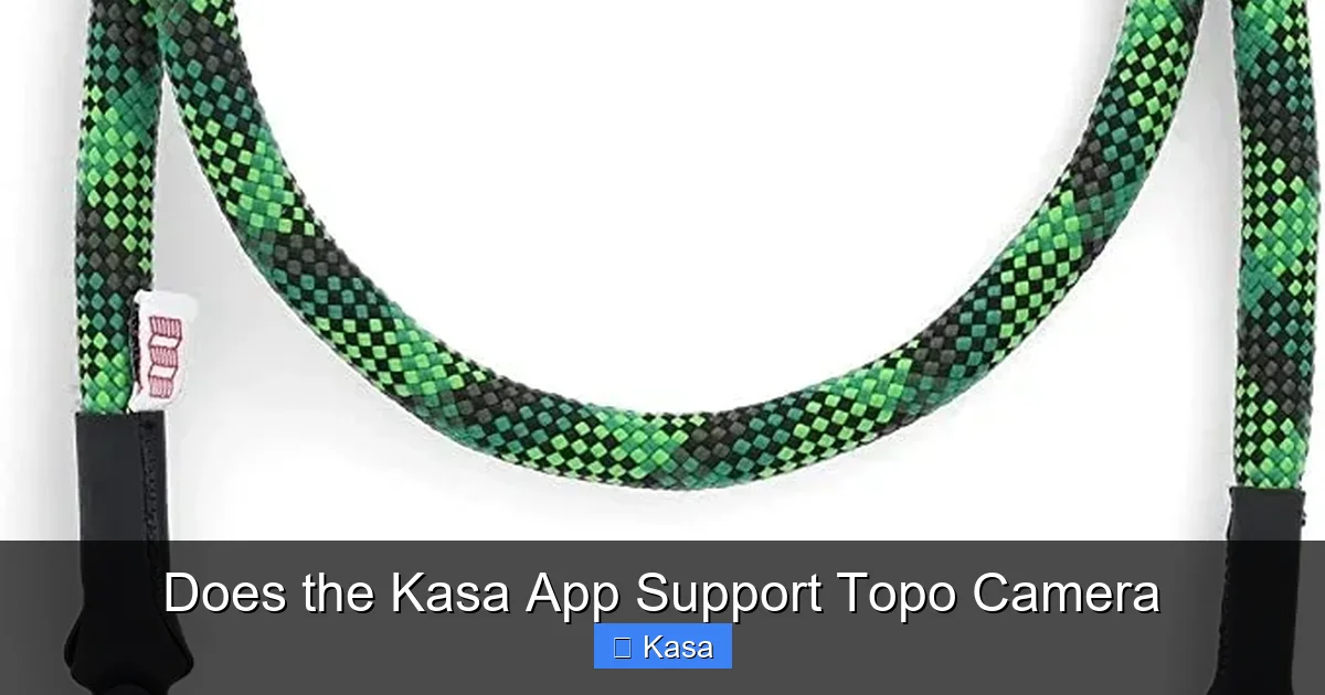 Does the Kasa App Support Topo Camera