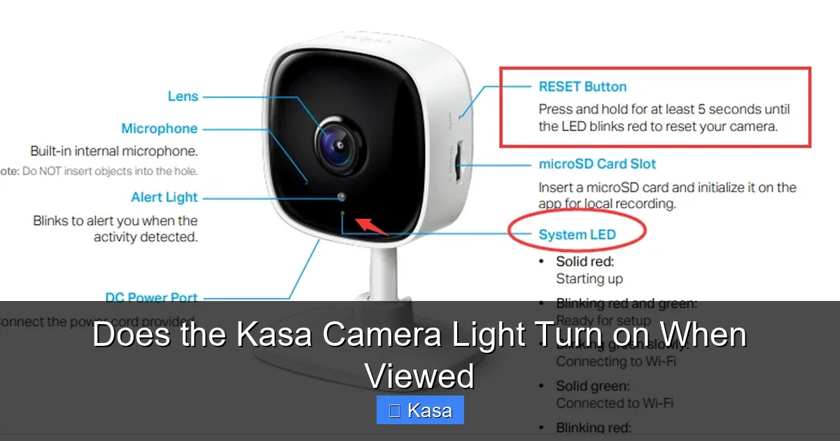 Does the Kasa Camera Light Turn on When Viewed
