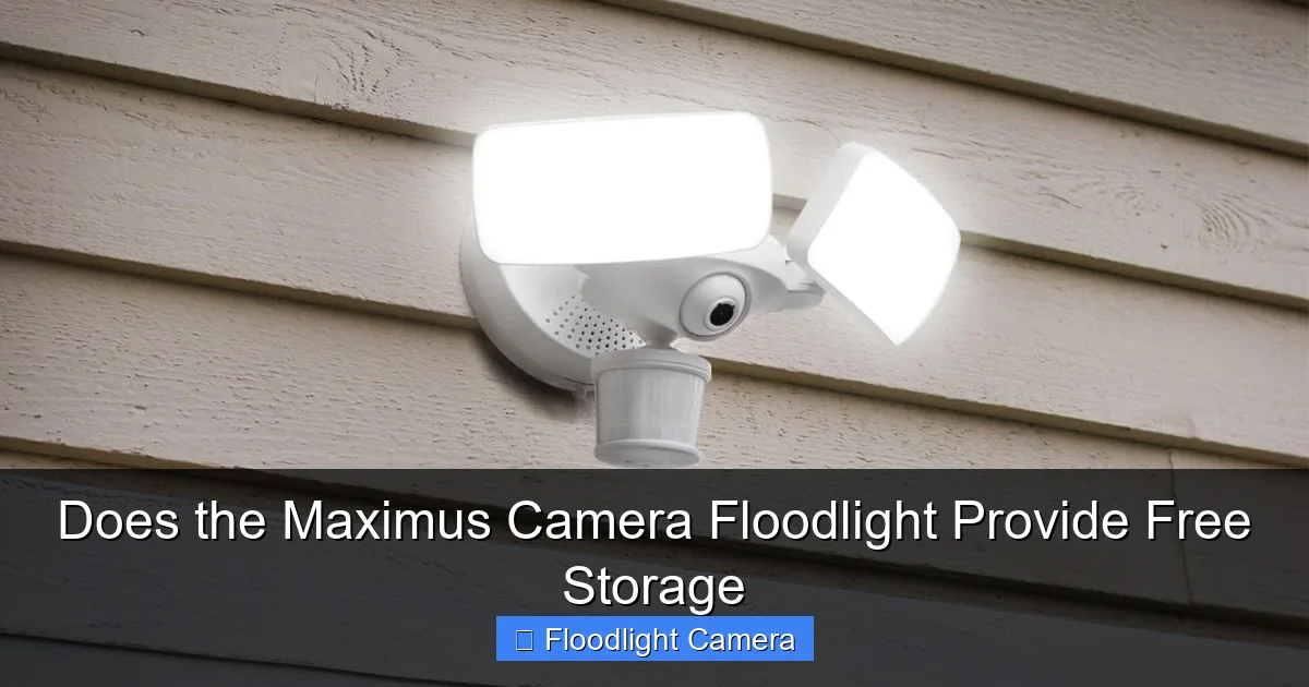 Does the Maximus Camera Floodlight Provide Free Storage