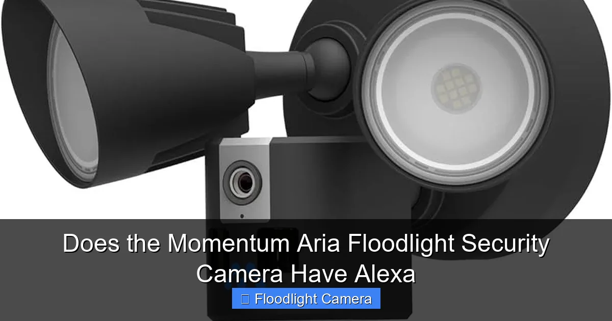 Does the Momentum Aria Floodlight Security Camera Have Alexa