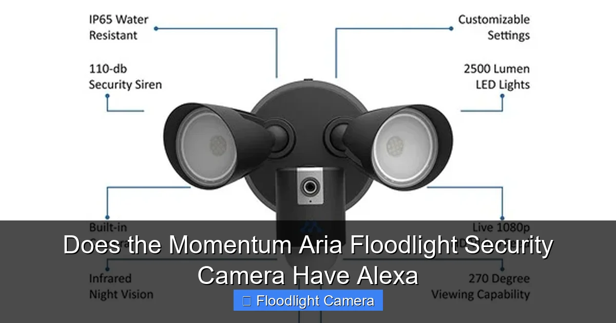 Does the Momentum Aria Floodlight Security Camera Have Alexa