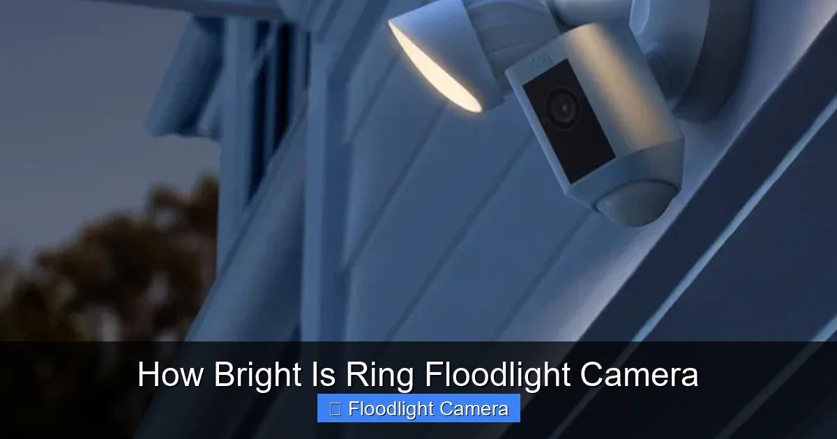 How Bright Is Ring Floodlight Camera