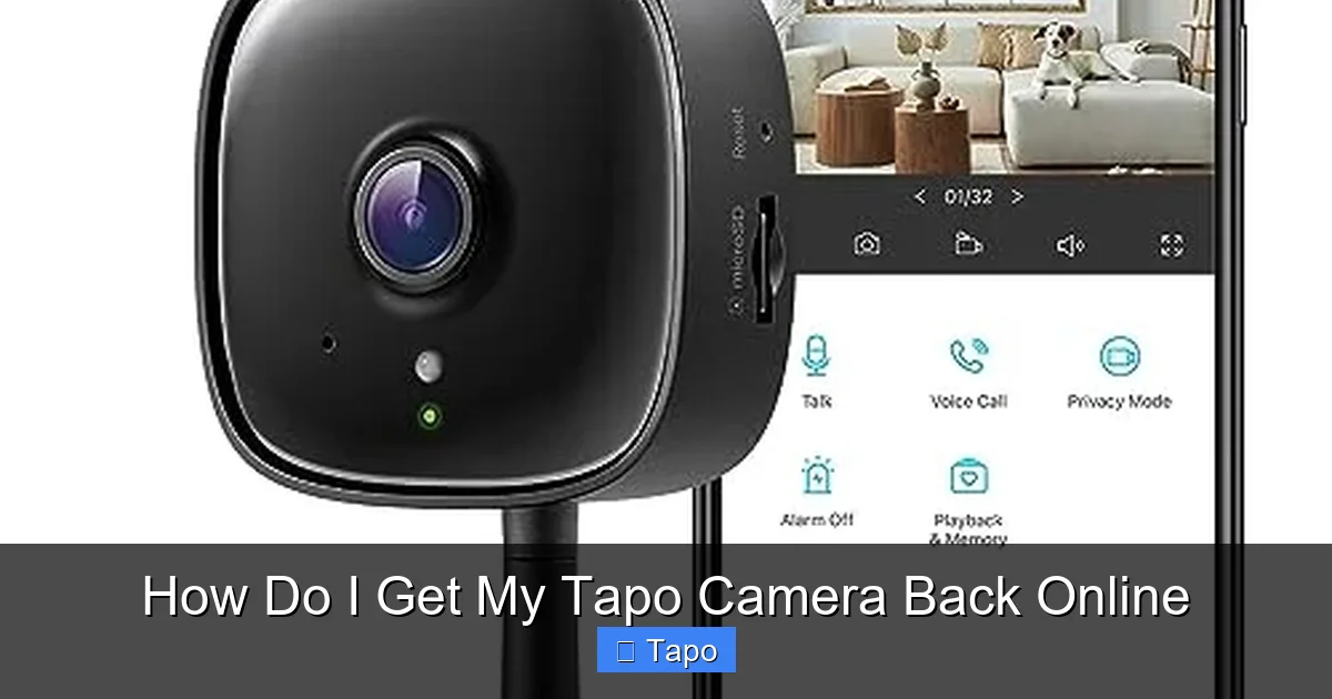 How Do I Get My Tapo Camera Back Online
