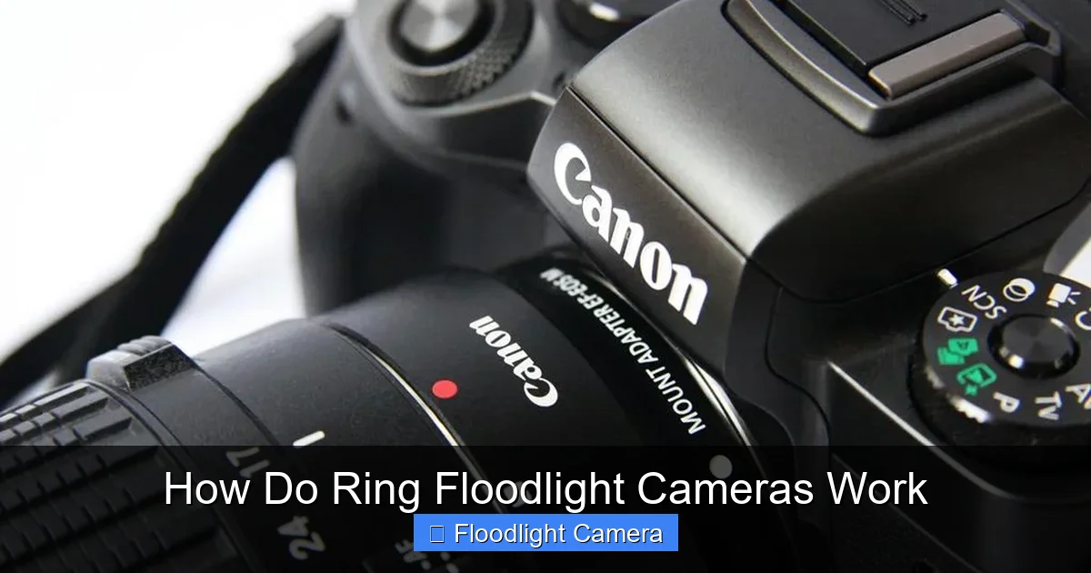 How Do Ring Floodlight Cameras Work