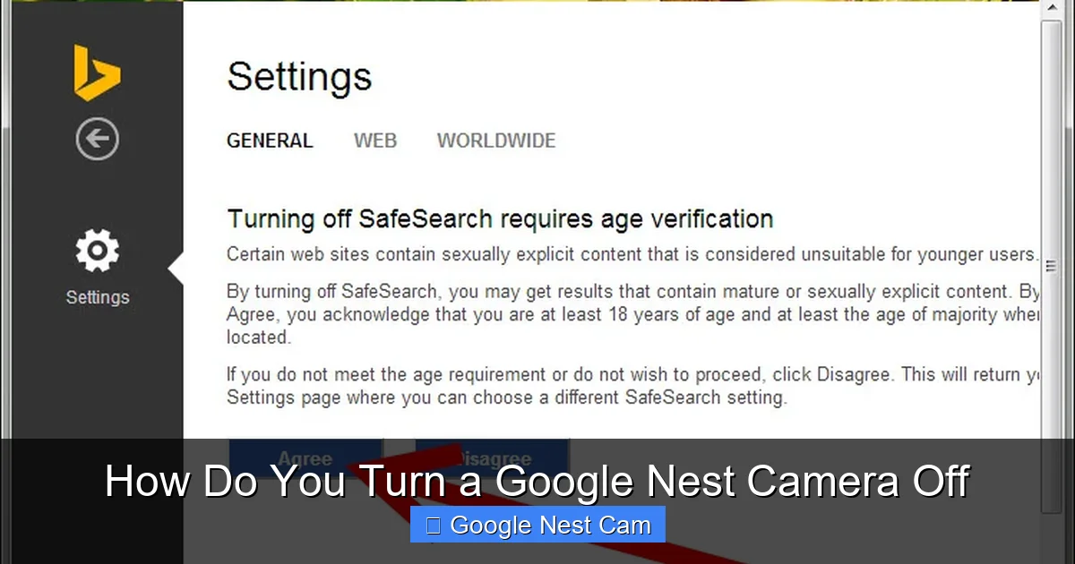 How Do You Turn a Google Nest Camera Off
