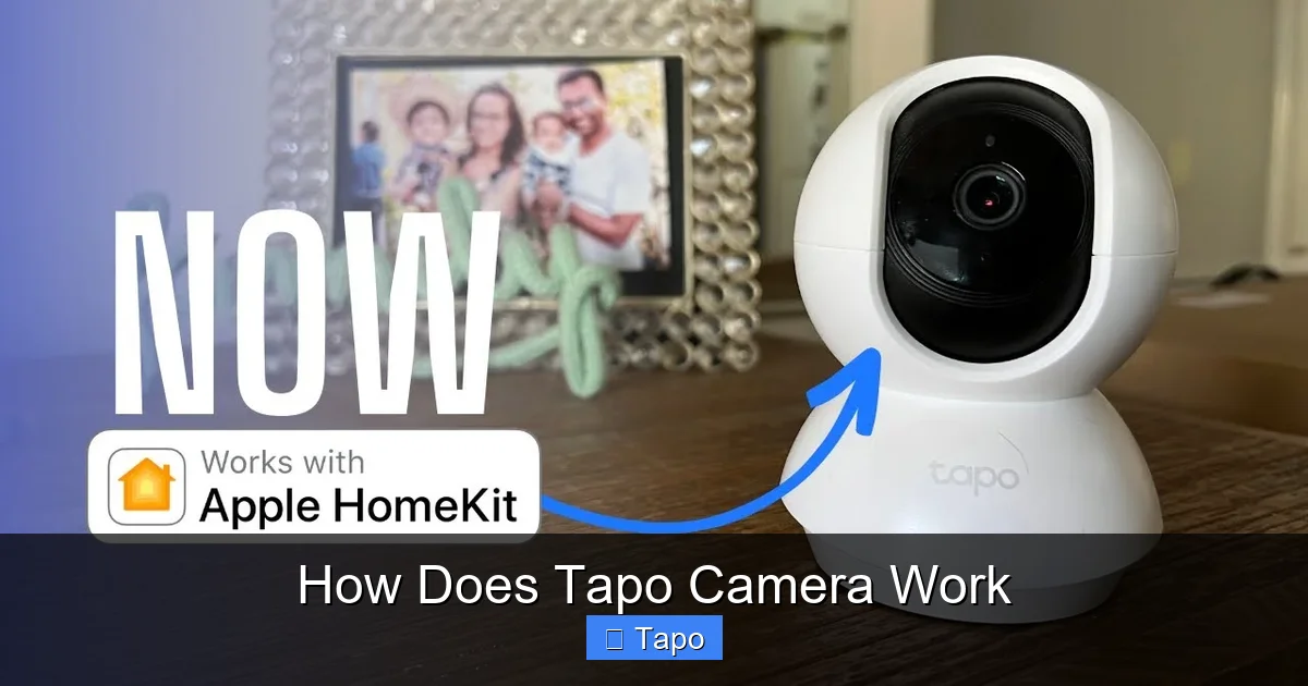 How Does Tapo Camera Work