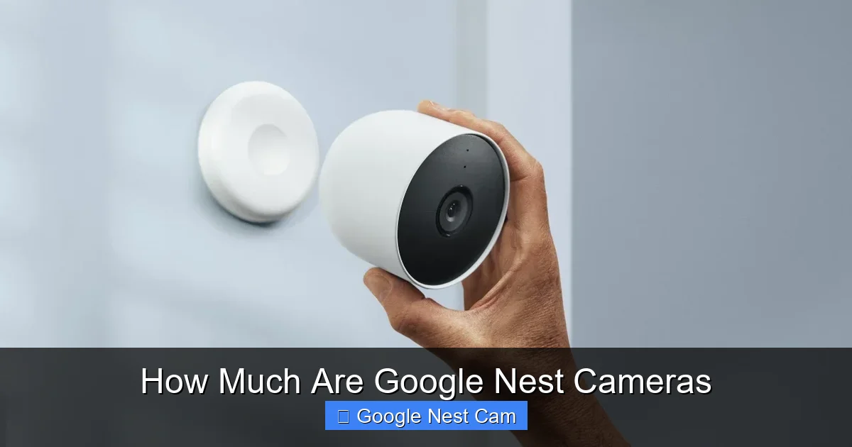 How Much Are Google Nest Cameras