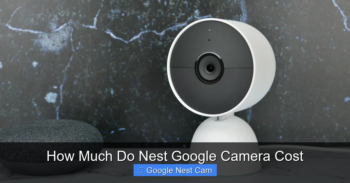 How Much Do Nest Google Camera Cost