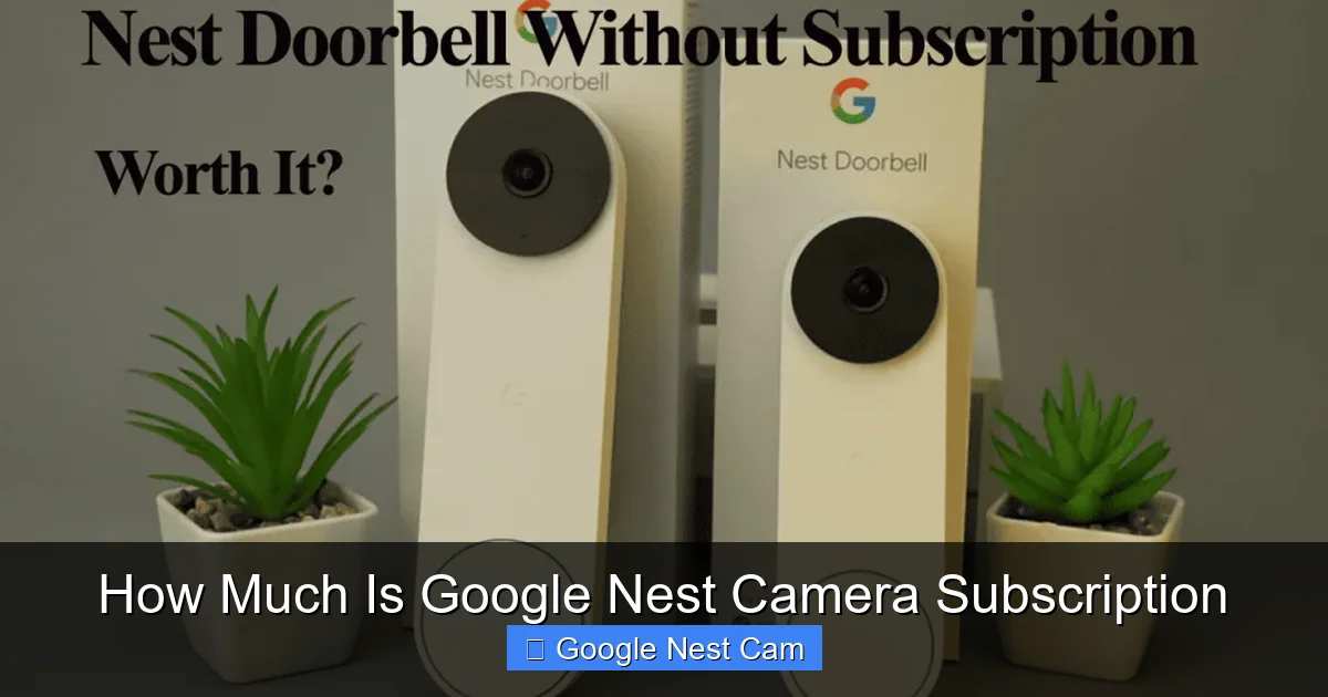How Much Is Google Nest Camera Subscription