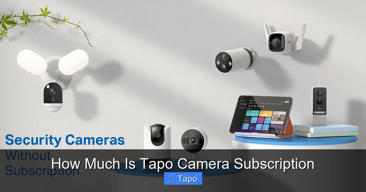How Much Is Tapo Camera Subscription