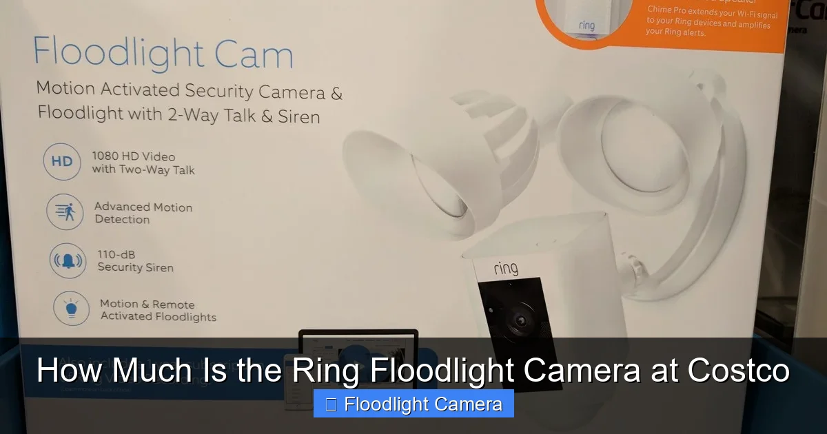 How Much Is the Ring Floodlight Camera at Costco