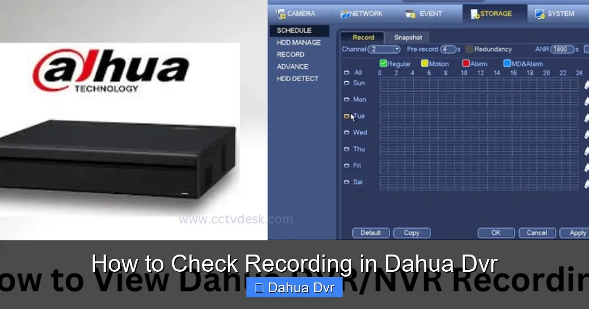 How to Check Recording in Dahua Dvr