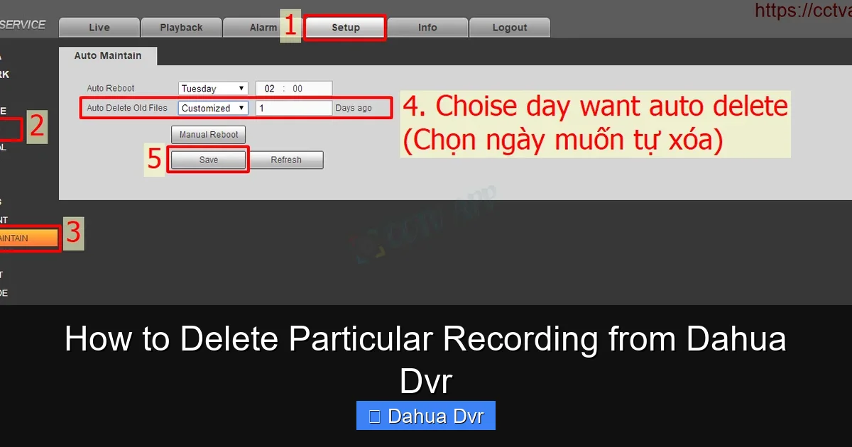 How to Delete Particular Recording from Dahua Dvr