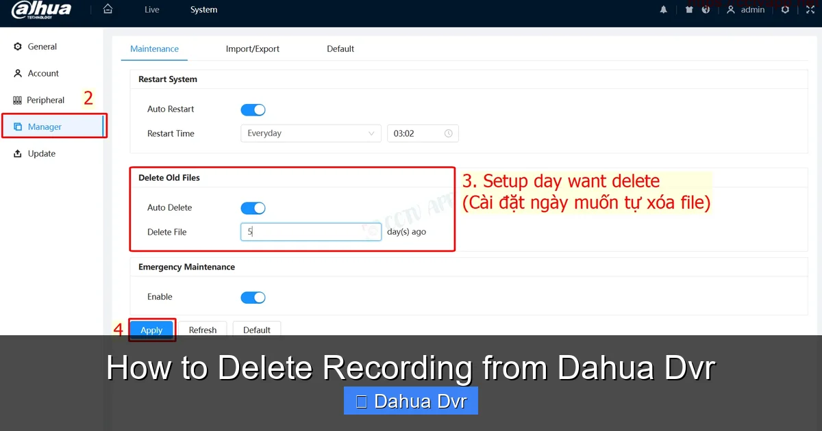 How to Delete Recording from Dahua Dvr