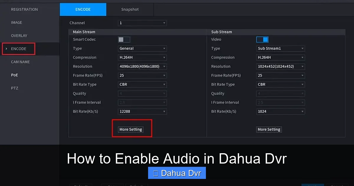 How to Enable Audio in Dahua Dvr