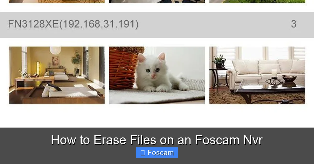 How to Erase Files on an Foscam Nvr