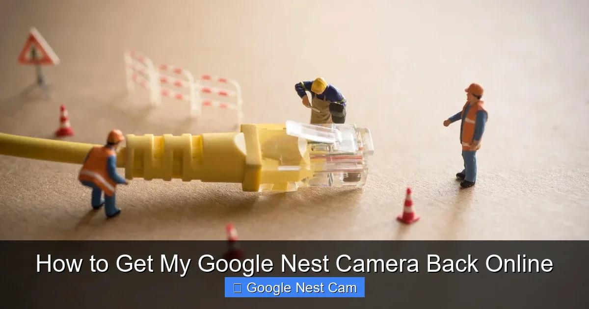 How to Get My Google Nest Camera Back Online