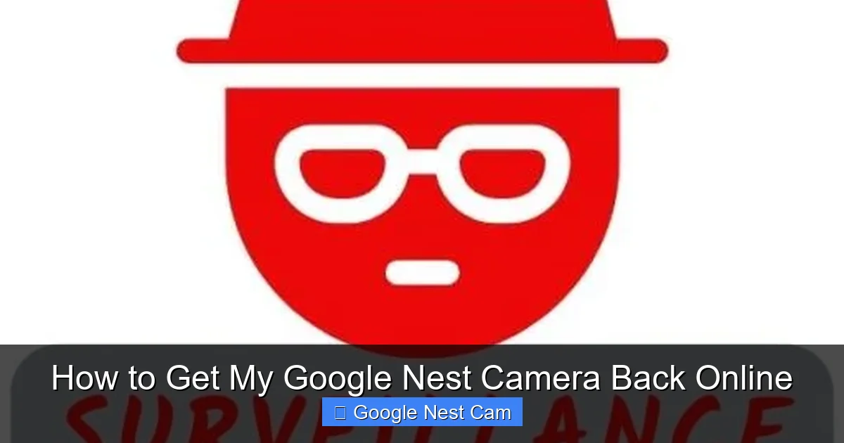 How to Get My Google Nest Camera Back Online